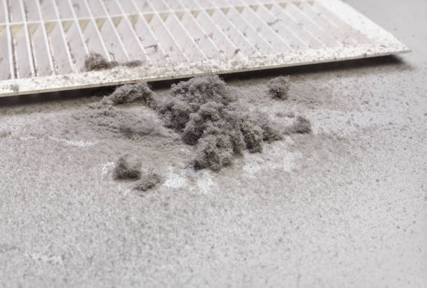 Best Affordable Duct Cleaning Services  in Fulton, MO